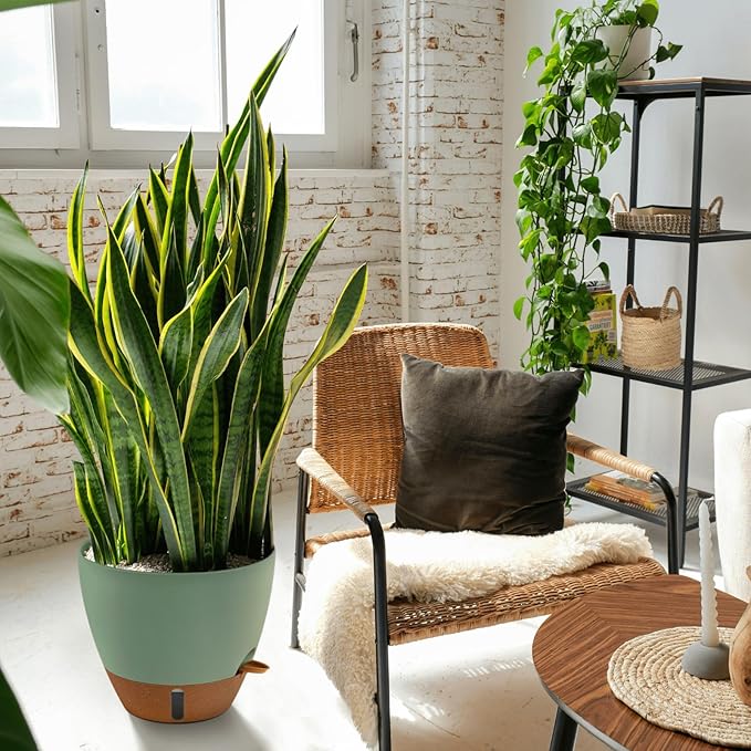 12/10/8 Inch Self Watering Pots for Indoor Plants Plastic Large Plant Pot for Outdoor Plants, Water Level Window & Spacious Reservoir Flower Pots Decorative Planter with Drainage and Tray (Green)