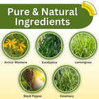 Relief Arnica Cream Natural Lotion for Effective Sore Muscle Relief | Arnica Bruise Cream with Lemongrass & Eucalyptus Essential Oils | Best Massage Lotion for Massage Therapy – 2 Pack