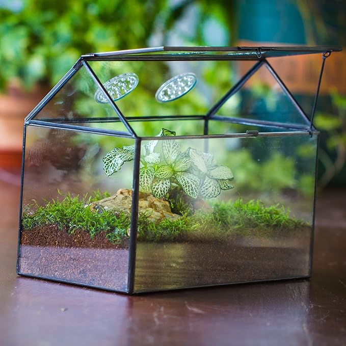NCYP Glass Terrarium with Lid and Air Holes for Snails, Succulents Plants, Small Cactus - 10.2" x 5.9" x 8.2" House Shape Geometric Clear Box, Indoor Tabletop Decor Black (Terrarium Only)