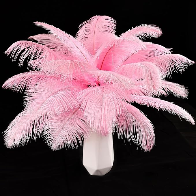 THARAHT Pink Ostrich Feathers 12pcs Natural Bulk 8-10Inch 20cm-25cm for Crafts Wedding Party Centerpieces Flower Arrangement Easter Gatsbi and Home Decoration Feathers