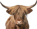Highland Cow Wall Window Stickers Decor Scottish Cow Wall Decals Peel and Stick Funny Cow Wall Stickers Removable Cool Cow Farmhouse Kitchen Decoration Weird Gifts for Fiends Christmas
