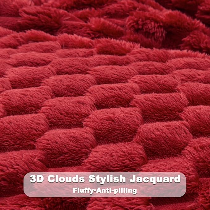 NEWCOSPLAY Super Soft Queen Blanket Red Premium Silky Flannel Fleece 3D Clouds Stylish Jacquard Lightweight Bed Blanket All Season Use 350GSM (Red, Queen(90"x90"))