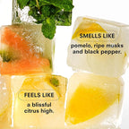 Boy Smells Citrush Candle – Bright Citrus Aroma – Warm Musk Finish – Pomelo Oil – Clean Burning Scented Candle – Long-Lasting Fragrance Throw – Vegan Soy Wax Blend – 9oz Glass Jar