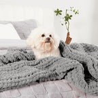 Amélie Home Chunky Knit Throw Blanket for Couch, Soft Chenille Crochet Blanket for Children, 40"x50", Light Grey