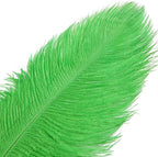 THARAHT Green Ostrich Feathers 12pcs Large Natural Bulk 14-16Inch 35cm-40cm for Wedding Party Centerpieces Mardi Gras and Home Decoration Feathers