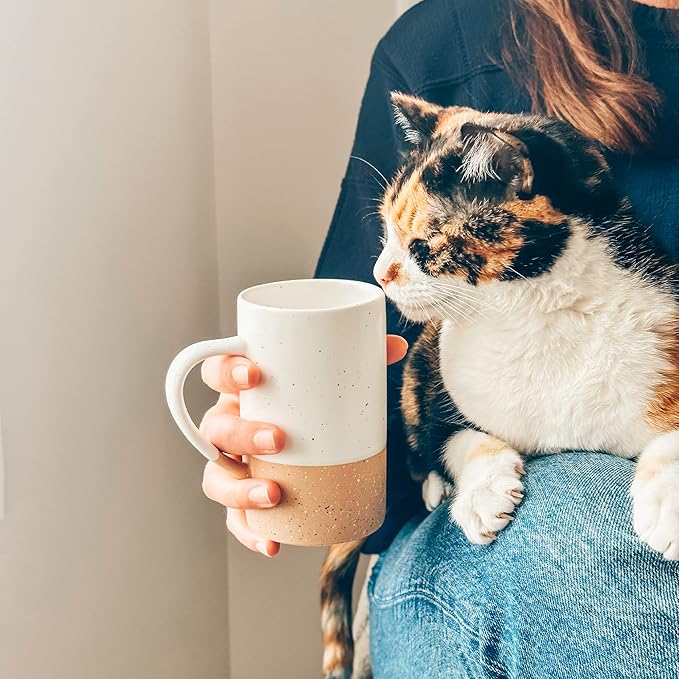 MORA Ceramics 12oz Coffee Mug Set of 4 - Ceramic Tea Cups with Handle - Microwave and Dishwasher Safe, Perfect For Cup or Mug Lovers - Rustic Matte Glaze, Modern Design Mugs - Petro