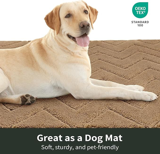 Stiio Dirt Trapper Door Mat 24x35.5 Inches, Front Doormat Indoor Outdoor Entrance Low Pile, All-Season, All-Weather Absorbent Entry Rug, Washable Non Slip Rug for Entryway, Brown