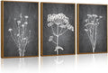 Tinonedraw Black and White Botanical Framed Canvas Wall Art Set, Vintage Floral Wall Decor, Dark Academia Minimalist Plant Art Paintings, Abstract Wildflower Art Print for Living Room Bedroom 16"x24"x3