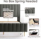 Livinia Twin Size Elton Velvet Platform Bed, Upholstered Bed Frame with Vertical Channel Tufted Headboard Footboard, Strong Wood Slats, No Box Spring Needed, Gray (Twin)