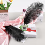 THARAHT Black Ostrich Feathers 12pcs Natural Bulk 8-10Inch 20cm-25cm for Crafts Wedding Party Centerpieces Halloween and Home Decoration Feathers