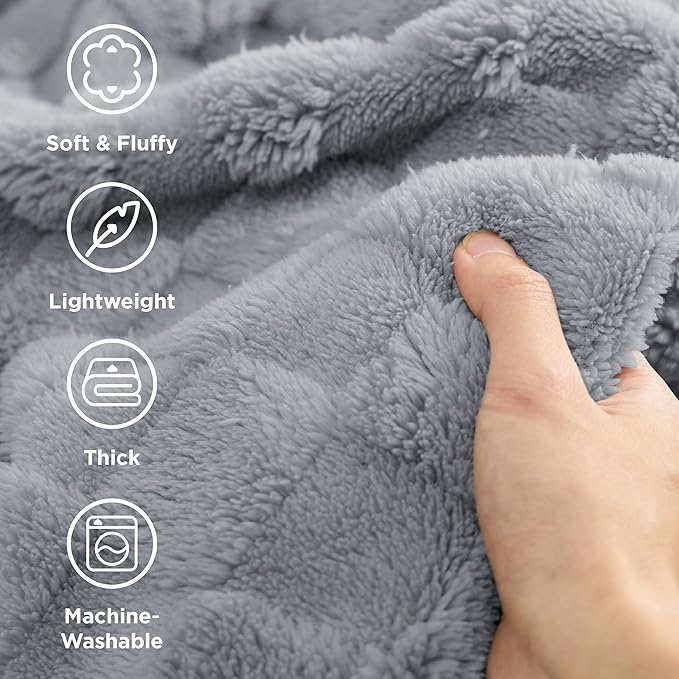 Bedsure GentleSoft Twin Blanket for Bed Silver Grey - Super Soft Cozy Blankets for Women Men Girls, Cute Fuzzy Fleece Throws for Bedroom Couch, 60x80 Inches