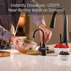 InSinkErator Stainless Steel Tank, HC250MBLK-SS HOT250 System, 2-Handle Drinking Faucet in Matte Black with 2/3-Gallon, Filter-Compatible Instant Hot/Cold Water Dispenser