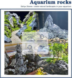 Seiryu Stone Natural Stone Rocks Fish Tank Decor Rocks for Aquariums Landscaping Model Tank Decoration Aquarium Miniature -20Lb (2-8 inch)