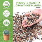 2.5lbs Small Rocks for Terrarium, Planters Drainage, 1/5 Inch Lava Rock for Bonsai Tree, Decorative Gravel for Succulents, Bamboo, Cactus, Mixed Color