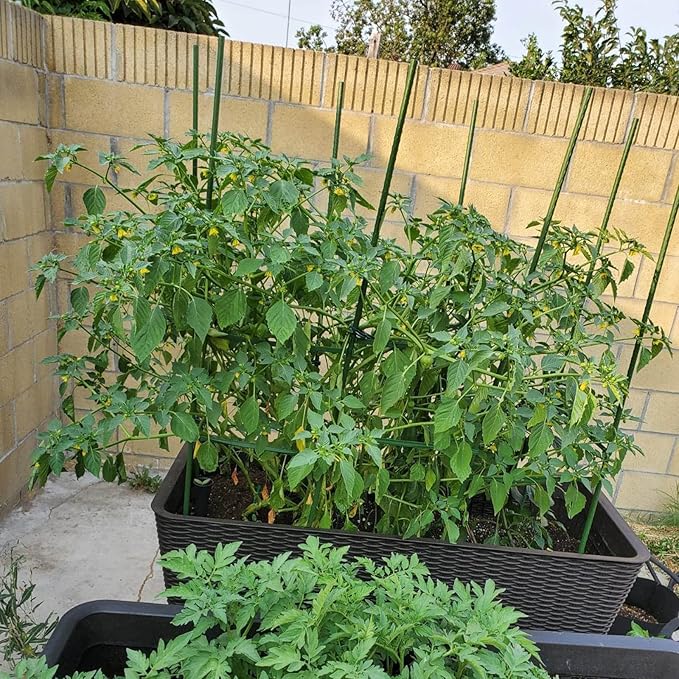 Garden Plant Stakes 48 Inch 4Ft Steel Plant Stick Support, 25 Pack Tomato Stakes for Growing Climbing Plants, Potted Plants, Tomatoes, Trees, Cucumber, Beans, Fences Poles