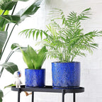 8 Inch + 6 Inch Indoor Plant Pot with Drainage Holes and Saucers, Ceramic Planter for Plants Succulent Orchid Flower Pots