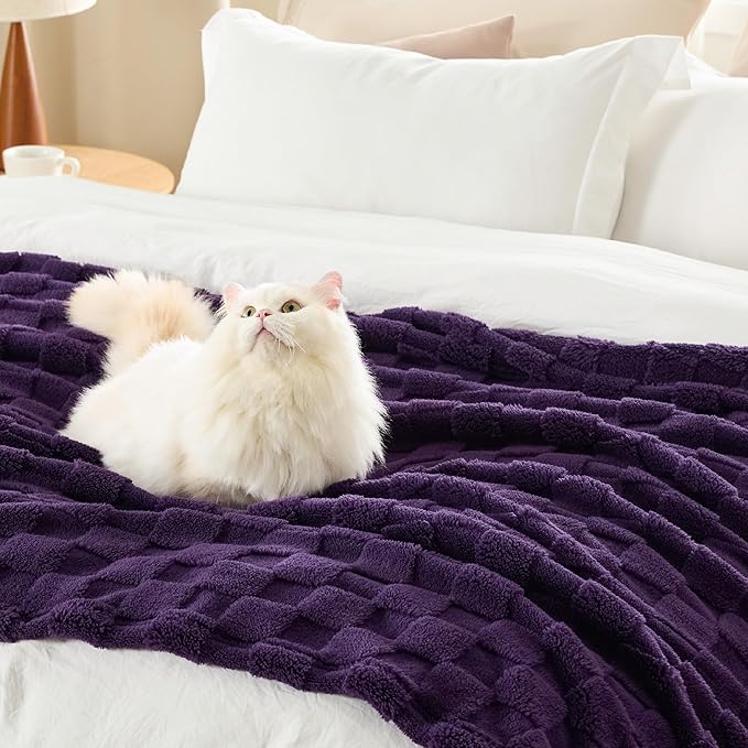 Bedsure GentleSoft Purple Throw Blanket for Couch - Super Soft Cozy Blankets Gifts for Women Men Girls, Cute Small Fleece Throws for Bedroom Home Decor, 50x70 Inches