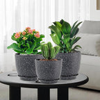 9/8/7.5 inch Plant Pots, Set of 3 Modern Decorative Plastic Planters with Drainage Holes and Saucer for Garden House Plants, Flower Pots for Indoor Outdoor Plants, Speckled Black