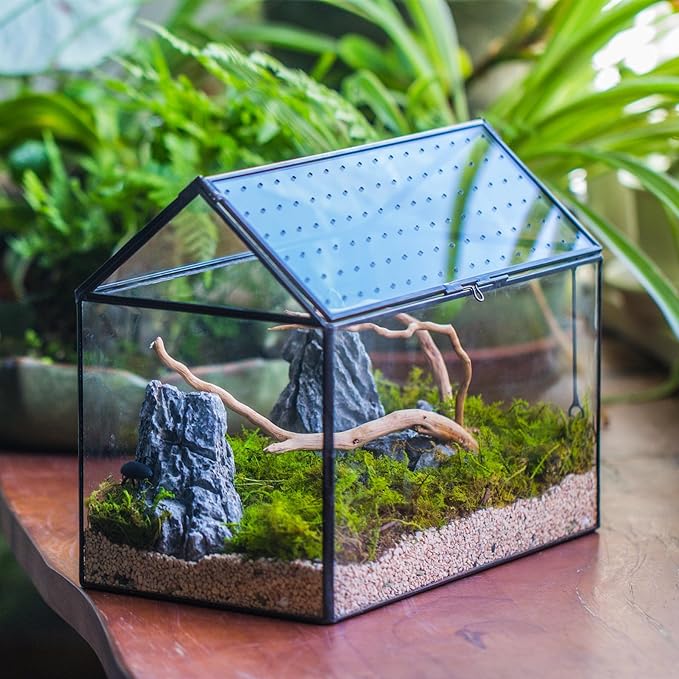 NCYP House Shape Glass Terrarium with Acrylic Lid - 10.2x5.9x8.2 Inches Large Geometric Box for Snails, Ferns, Succulents, Air Plants, Indoor Tabletop Decor, Handmade (Terrarium Only)
