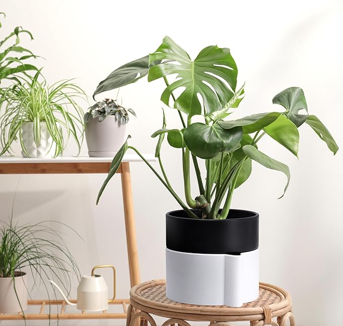 Phoenix Vine 6.5 Inch Self-Watering Planter Pot with Terracotta Insert, Deep Water Reservoir, and Ceramic-Alike BPA-Free Plastic Pot for Plant, Modern Planter for Houseplants, White/Black, 53-B-S-4