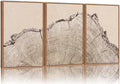SIGNINART Large Tree Ring Framed Canvas Wall Art Set, Rustic Beige Wooden Wall Decor, Neutral Nature Wood Stump Artwork, Modern Art Prints for Bedroom Living Room Office 24"x36"x3