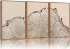 SIGNINART Large Tree Ring Framed Canvas Wall Art Set, Rustic Beige Nature Wooden Wall Decor, Neutral Wood Stump Artwork, Modern Art Prints for Bedroom Living Room Office 16"x24"x3