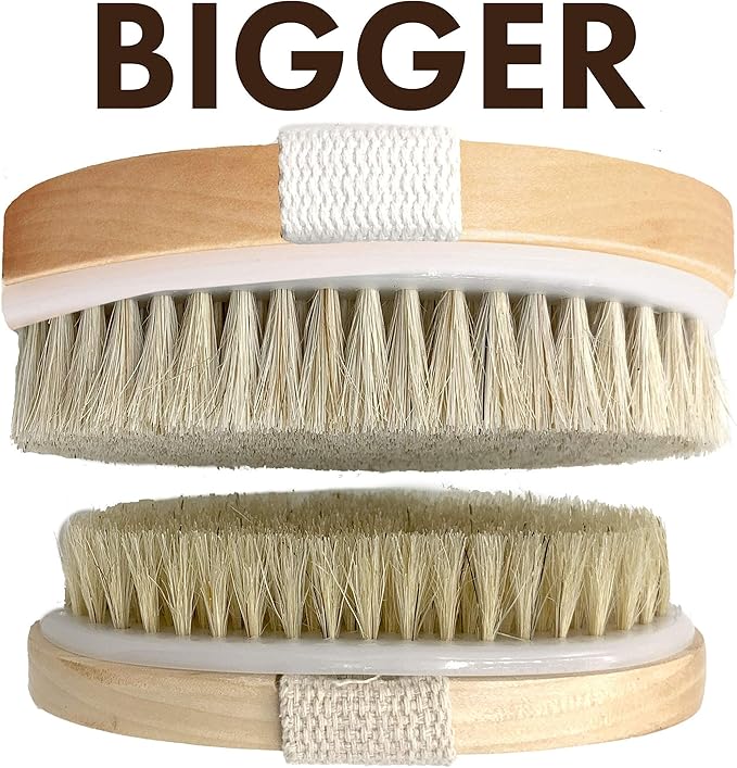Dry Brushing Body Brush SCALA Natural Bristle Body Brush, Soft Body Exfoliating Brush Scrub for Dead Skin, Cellulite, Lymphatic Drainage, Blood Flow – Thicker & Stronger Medium Strength