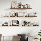 Fun Memories 24 Inch Floating Shelves Wall-Mounted, 10 Inch Deep Wall Shelves, 24 x 10 Floating Shelf for Living Room Bathroom Bedroom, Rustic Brown, Set of 2