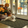 hicorfe Indoor Door Mat,Non Slip Door Mats,32"x48" Front Back Door Mat Rubber Backing,Absorbent Resist Dirt Entrance Inside Floor Mats for Entryway Washable Low-Profile(Oliver Green)