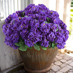 Hananona 12 Pcs Artificial Geranium Flowers for Outdoors Silk Purple Geranium Flowers Outdoor UV Resistant Plants Faux Flower for Home Kitchen Table Centerpieces Front Door Patio Decor (12, Purple)