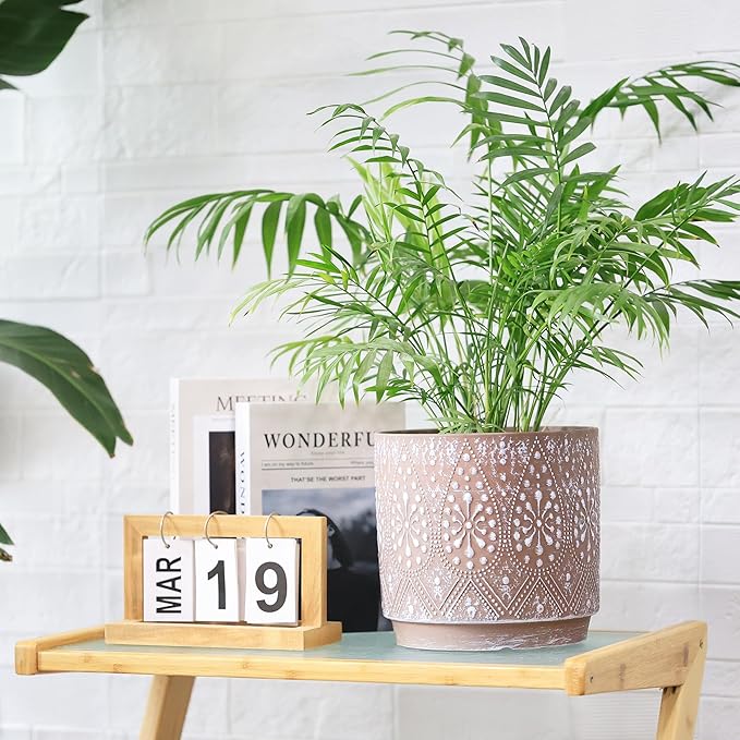 8 Inch + 6 Inch Plant Pot with Drainage Holes and Saucers, Indoor Ceramic Planter for Plants Succulent Orchid Flower Pots