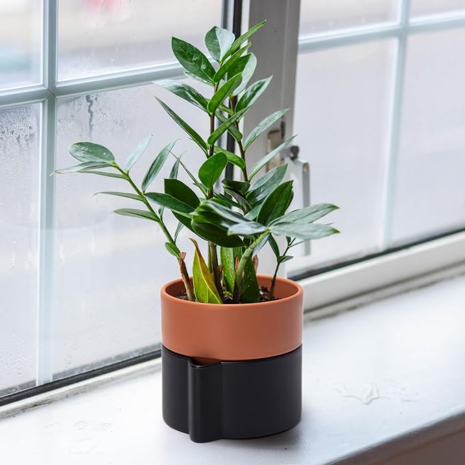 6.5 Inch Self-Watering Planter Pot with Terracotta Insert, Deep Water Reservoir, and Ceramic-Alike BPA-Free Plastic Pot for Plant, Modern Planter for Houseplants, Black/Terracotta, 53-B-S-5