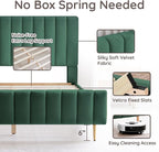 Livinia Queen Size Elton Velvet Platform Bed, Upholstered Bed Frame with Vertical Channel Tufted Headboard Footboard, Strong Wood Slats, No Box Spring Needed, Green (Queen)