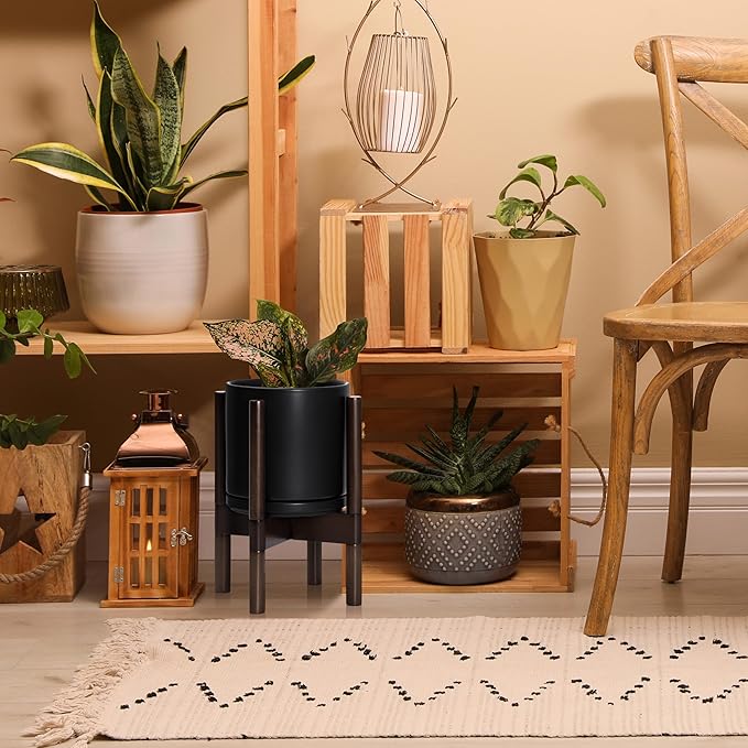D'vine Dev Ceramic Planter with Walnut Color Stand - 8 Inch Modern Round Flower Pot with Wood Planter Holder, Black, 55-B-Y-2