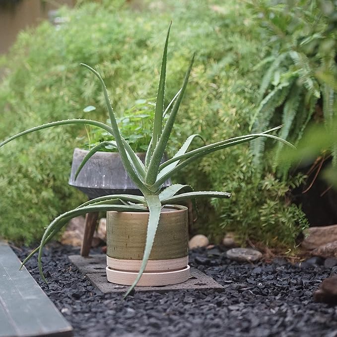 8 Inch Pots for Plants, Ceramic Planter Pot with Drainage Hole & Saucer, Indoor/Outdoor Cylinder Round Planter Pot, Green & Beige