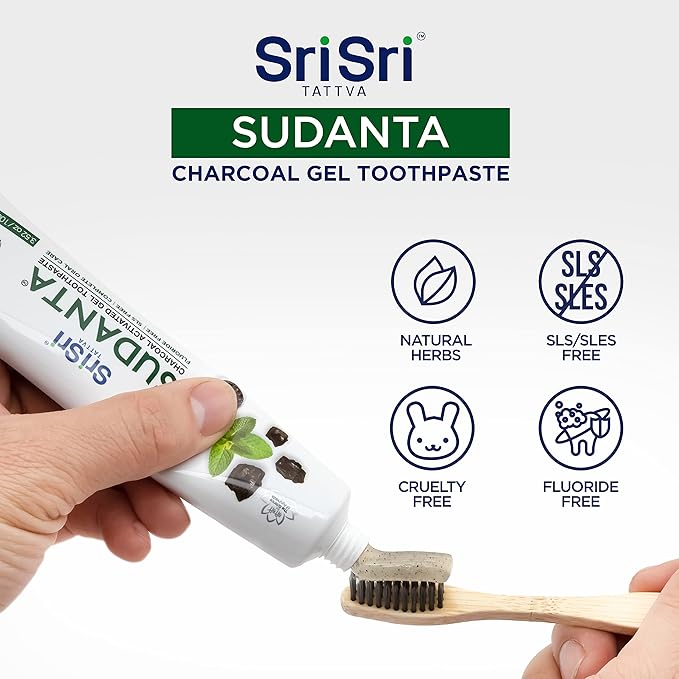 Sri Sri Tattva Sudanta Charcoal Toothpaste Gel – SLS, Fluoride Free Herbal Toothpaste with Neem & Ayurvedic Herbs – Natural Teeth Whitening, Fresh Breath, Oral & Gum Health – 100g Tube (Pack of 2)