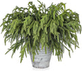 Artgar 24 Pcs Pine Branches - 18 Inch Artificial Green Pine Stem - Real Touch Christmas Greenery Pines Branches for DIY Flower Arrangement Home Indoor Christmas Decor
