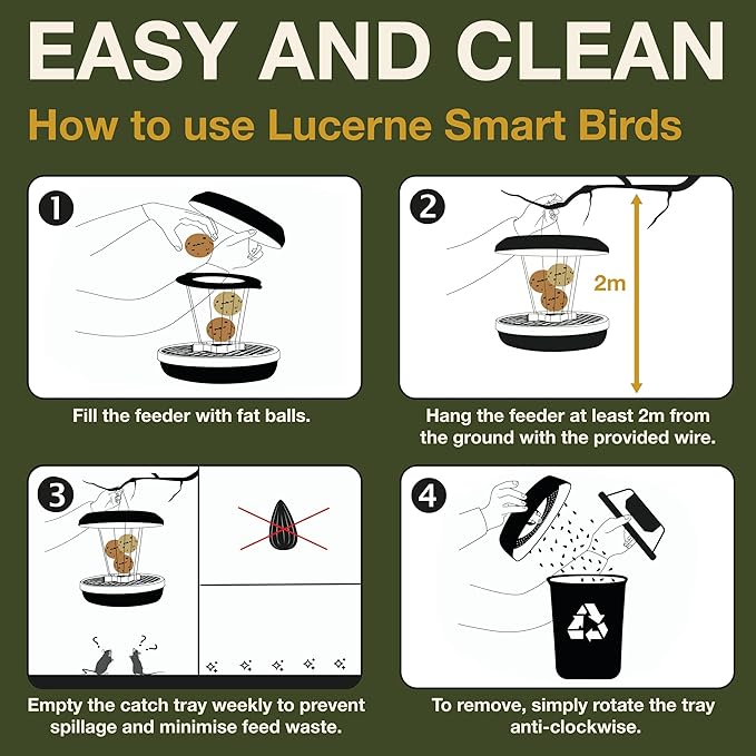 SWISSINNO No Mess Bird Feeder Lucerne Smart Birds for Fat Balls - Feed Birds, not mice & Rats! Robust & Reliable for Hanging - Green