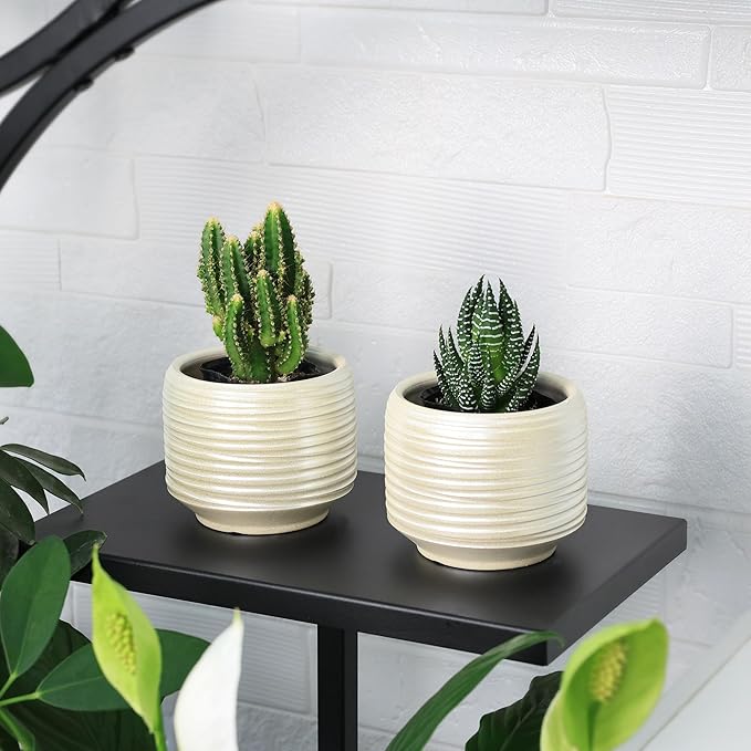 Mini Succulent Planter Set – 3.7 Inch Ceramic Pots with Drainage for Indoor Plants, Small Decorative Flower Pots for Cactus and House Plants, Set of 4