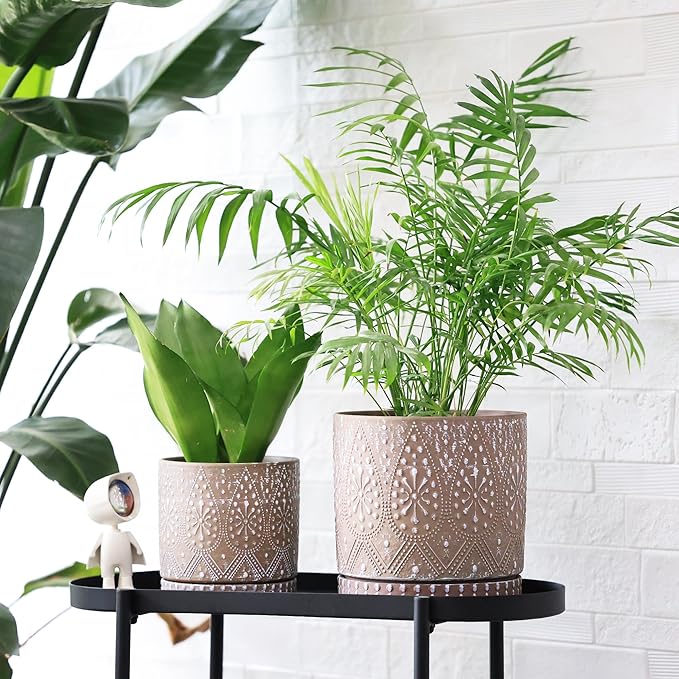 8 Inch + 6 Inch Plant Pot with Drainage Holes and Saucers, Indoor Ceramic Planter for Plants Succulent Orchid Flower Pots