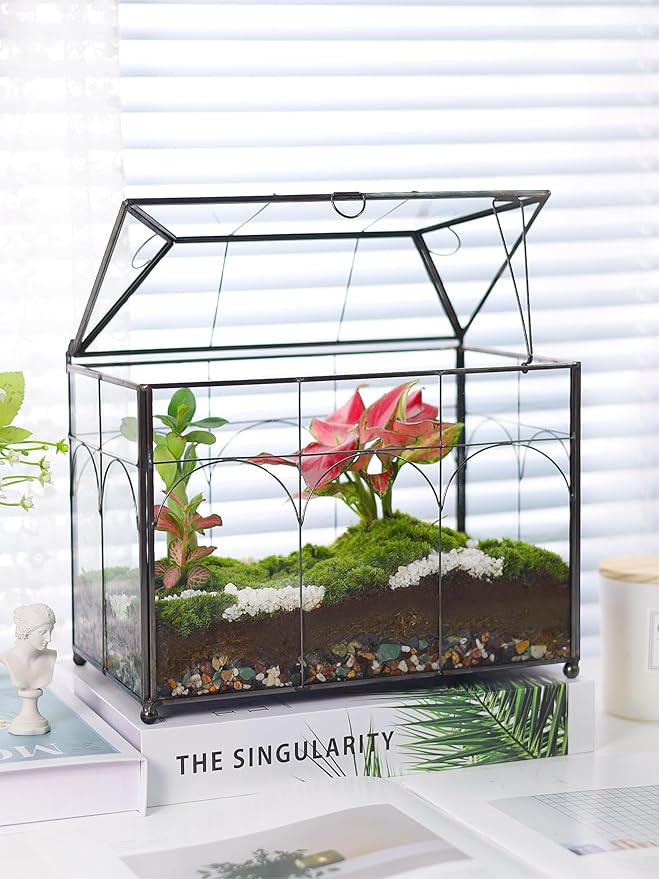 Handmade Glass Planter Terrarium with Lid, Indoor Tabletop Centerpiece Display Box Modern Decor DIY Gift Plant Terrarium Container for Succulent Cacti Air Plants Flower (Black)