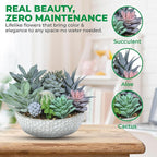 Premium Assorted Artificial Succulent Collection - Large Real Touch Artificial Cactus, Aloe Vera & Succulent Plants Artificial with Pots for Home Office Indoor (Artificial Glass - Pot)