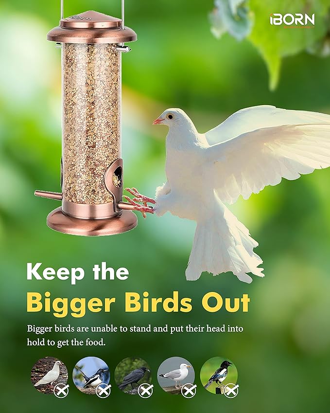 iBorn Metal Bird Feeder Hanging Wild Bird Feeders for Mix Seed Blends Heavy Duty All Metal Finishing, Copper Finish, 8 Inch 2 Port (Seed is not Included)