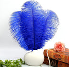 THARAHT Blue Ostrich Feathers 12pcs Large Natural Bulk 14-16Inch 35cm-40cm for Wedding Party Centerpieces Halloween and Home Decoration Feathers