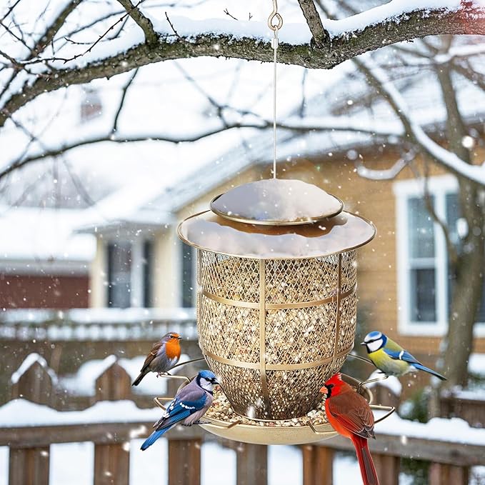 Bird Feeder for Outdoors, Funnel Style Wild Finch Feeders for Outside Hanging Courtyard Bird Watching, Metal Birdfeeder with Lid Fixing Buckle, 3Lbs Capacity