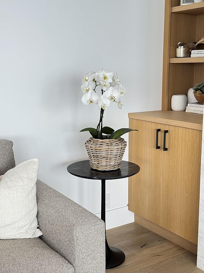 Rattan Kobo Indoor Outdoor Planter Basket with Plastic Pot X Small 1 Gallon Soil Capacity