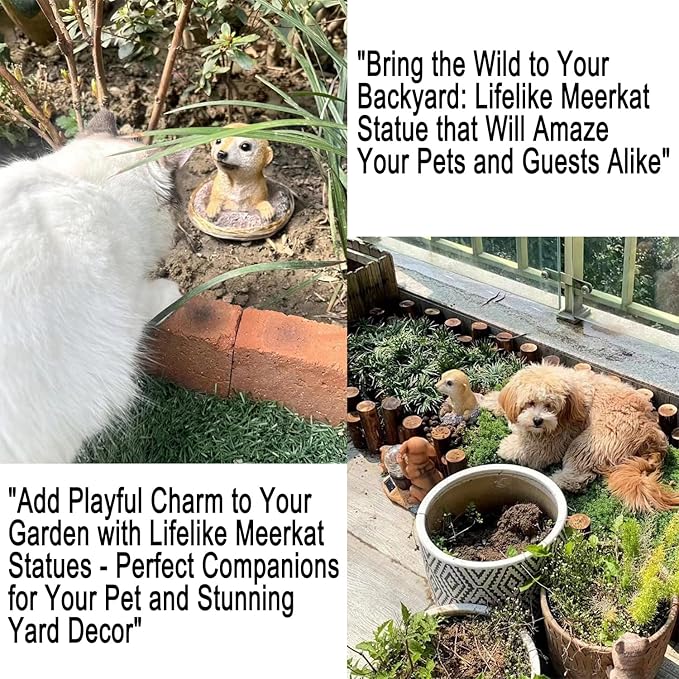 Meerkat Statue - Charming Meerkat Garden Animal Statue: Lifelike Decor Accent for Your Yard or Patio - Add Personality to Your Outdoor Space