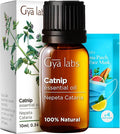 Gya Labs Catnip Essential Oil for Skin - 0.34 Fl Oz - 100% Pure Natural Catnip Oil for Diffuser, Massage & Candle Making Scent