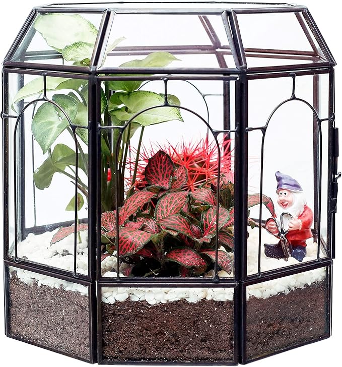 Large Glass Terrarium Handmade, Centerpiece Display Box Gift Planter Containers Indoor Terrariums House for Succulent Cacti Air Plants Miniature Fairy Garden