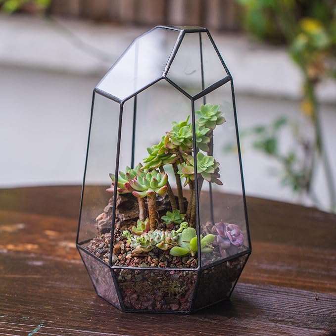 NCYP Geometric Glass Terrarium Planter for Succulent, Small Cacti, Black Irregular Opened Container Pot, Indoor Home Garden Office Tabletop Decor, 6.5" x 5.7" x 9.8" (No Plants, No Door)